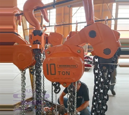 10-ton-china-vital-chain-block  2D